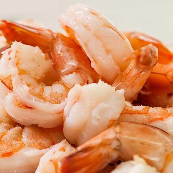 Shrimp